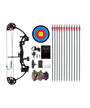 PANDARUS Compound Bow Archery for Youth and Beginner, Right/Left Handed,19-28 Draw Length,15-29 Lbs Draw Weight, 260 fps, Package with Archery Hunting Equipment Black Right handed