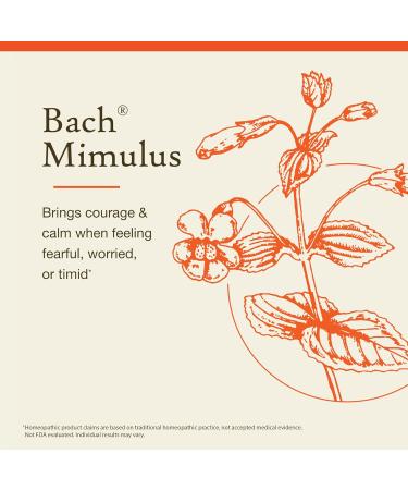 Bach Original Flower Remedies Mimulus - Face Your Fears - Natural Homeopathic Flower Essence for Emotional Balance - Vegan Gluten Free Sugar Free - 20mL Dropper - Buy Online on GoSupps.com