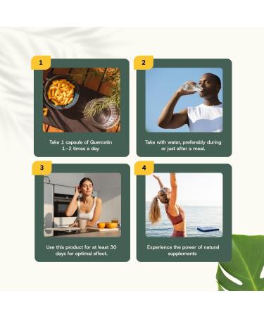 Extrait de Querc tine 60 G lules - Formule Concentr e 10:1-250 mg par G lule - Alternative Sans Zinc ni Brom line - Suppl ment V g tal en Capsules Pratiques - Buy Online on GoSupps.com