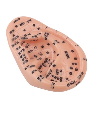 Ear Massage Model Accurate Light-resistant PVC Ear Acupuncture Model Transparent Characters for Teaching Laboratory