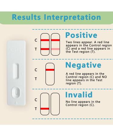 H Pylori Test at Home - Accurate Helicobacter Pylori Self-Test Kit | 2 Tests Included Results in 10-15 Minutes - Fast & Convenient - Buy Online on GoSupps.com