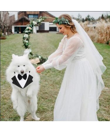 Kaket Formal Dog Tuxedo Bandana with Neck Tie Designs - Black (L) - Buy Online on GoSupps.com