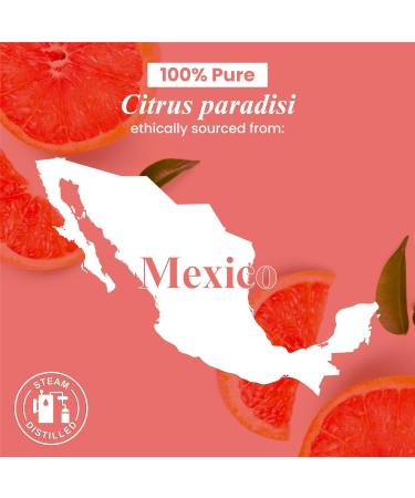 Handcraft Blends Bright & Cool Set: Spearmint and Grapefruit Essential Oils (2 x 4 Fl Oz) 100% Pure & Natural for Diffuser Aromatherapy and DIY Projects - Buy Online on GoSupps.com