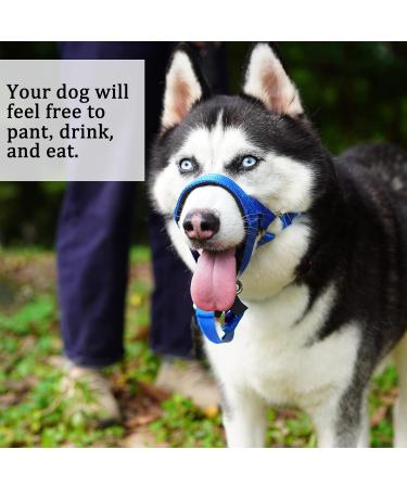Barkeless Dog Harness - No Pulling Padded Snout for All Sizes | Training Included - Comfortable & Safe Walking in Blue - Buy Online on GoSupps.com