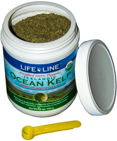 Organic Ocean Kelp Supplement for Pets | Skin & Coat Health | Digestion Support | 16oz - Buy Online on GoSupps.com