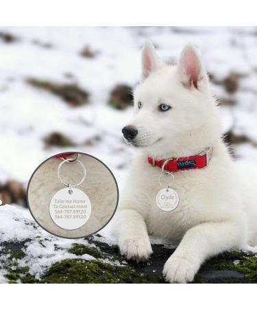 Personalized Stainless Steel Dog Tags - Custom Engraved for Dogs & Cats | Camal Dog Brand - Buy Online on GoSupps.com