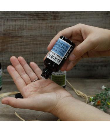Ancient Wisdom Borage Oil - 50ml - Buy Online on GoSupps.com
