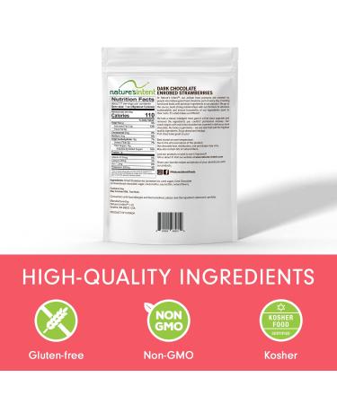 Natures Intent Dark Chocolate Covered Strawberry Dried Fruit 500g Bag - Kosher, Gluten Free, Non-GMO | Whole Food Snacks 17.6oz - Buy Online on GoSupps.com