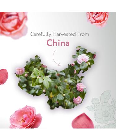 HBNO Organic Camellia Oil - Huge 4 oz (120ml) Value Size - USDA Certified Organic Camellia Oil Cold Pressed Carrier Oil for Face Body Lips Nails Shampoo & Conditioner Organic Camellia 4 Fl Oz (Pack of 1) - Buy Online on GoSupps.com