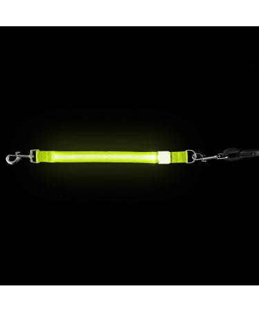 Furhaven Pet Hands-Free Bungee Dog Leash with LED Collar and Safety Features - Multiple Colors and Sizes - Buy Online on GoSupps.com
