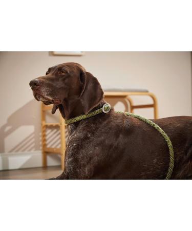 Wolters Moxonleine Everest Reflective Lime/Black - 180cm x 1.3cm | Best International Shipping - Buy Online on GoSupps.com