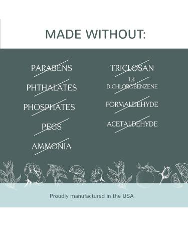 Plant Therapy Healing Balm 4 oz - 100% Pure & Natural Botanical Formula with Shea Butter, Tamanu Oil, and Calendula Extract - Buy Online on GoSupps.com