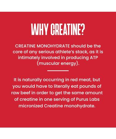 Purus Labs Foundation Series Creatine Powder - 100% Pure Micronized Creatine for Strength Mass & Recovery | 30 Servings (Unflavored) - Shop Internationally - Buy Online on GoSupps.com