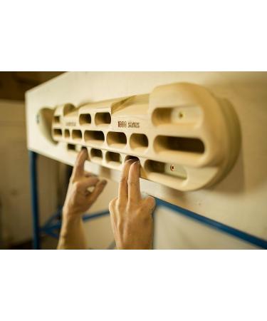 Beastmaker 1000 Fingerboard: Ultimate Climbing Training Tool - Buy Online on GoSupps.com