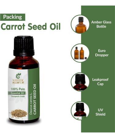 Sheer Essence Carrot Seed Essential Oil (Undiluted & Uncut - 100% Pure Daucus Carota L.) - 33.8oz Aluminium Bottle - Steam Distilled Therapeutic Grade Excellent For Skin Hair Aromatherapy and More! - Buy Online on GoSupps.com