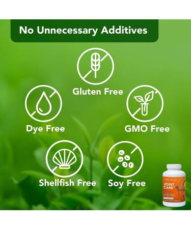 Vital Plan Joint Care Supplement | Shellfish-Free Clinical-Grade | Acumin Turmeric, Boswellia, Bromelain & Hyaluronic Acid | 180 Capsules - Buy Online on GoSupps.com