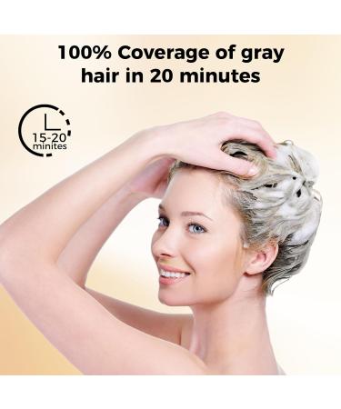 Black Hair Dye Shampoo 3 in 1 | 100% Gray Hair Coverage | Herbal Ingredients | 500ml for Men & Women - Buy Online on GoSupps.com