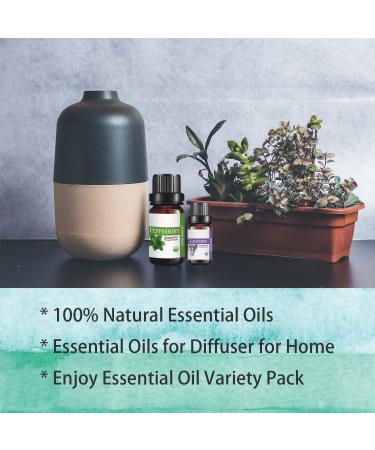 HERBROMAS Essential Oil Set - Top 16 Aromatherapy Oils for Candle & Soap Making, Diffusers, Humidifiers - Buy Online on GoSupps.com