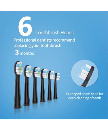 MAYZE Sonic Electric Toothbrush for Adults and Kids | 6 Brush Heads | 30000VPM | 60 Days Battery | 5 Modes with Smart Timer | Black - Buy Online on GoSupps.com
