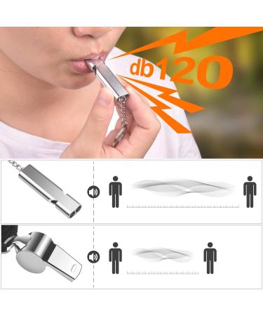 Buy Bizoerade Stainless Steel Emergency Pipe - High Decibel Double Tubes with Lanyard & Keychain for Camping Hunting Sports & Dog Training - Black - Buy Online on GoSupps.com