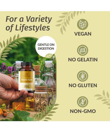 HERBAMAMA Mastic Gum and Inulin Kit - Bundle of Mastic Gum Capsules & Inulin Fiber Capsules - Vegan Non-GMO Gelatin-Free - 2 Pack - Buy Online on GoSupps.com