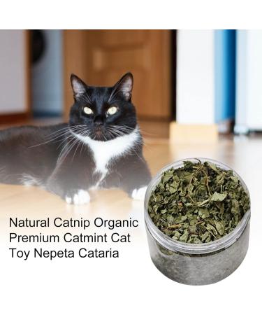 Sysdisen Cat Mint Premium Organic Cat Mint Natural Catnip Organic Dried Ground Catnip Cat Snacks for Teeth Cleaning - Buy Online on GoSupps.com
