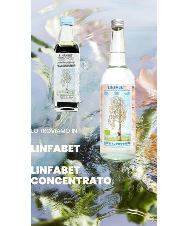  Vegetal Progress Vegetal Progress - Linfabet - birch sap - 4 bottles of 700 ml (3+1 free) - Buy Online on GoSupps.com
