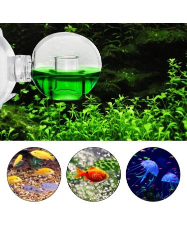 Buy CO2 Permanent Test Aquarium Orb - 2 Piece CO2 Tester Checker for Freshwater Aquariums | Durable Glass Aquarium Accessory 5x3.5cm - Buy Online on GoSupps.com