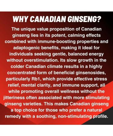 Canadian Vita Ginseng Supplement Capsules - Pure Ginseng Root Powder - Energy/Immunity/Focus/Stress Relief - 500 mg/Capsule - Buy Online on GoSupps.com
