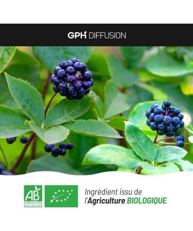 Eleutherococcus Bio - 210 mg - 200 vegetable capsules - Buy Online on GoSupps.com