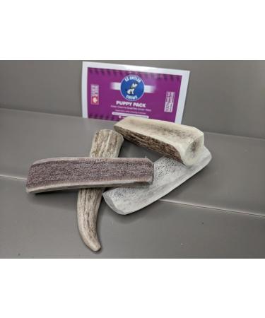 Elk Antler Dog Chews - Dental Sticks for Dogs - Premium Elk Antler Dog Bone - Premium Long Lasting - Preservative Free Cruelty Free - Naturally Shed in Canada by EZ Antler Chews (Variety Pack) - Buy Online on GoSupps.com