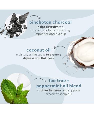 Briogeo Scalp Revival Charcoal + Tea Tree Cooling Scalp Mask - Hydrating Treatment for Dry, Itchy Scalp | 177ml - Buy Online on GoSupps.com