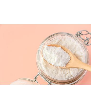 EcoEcho Organic Coconut Milk Powder (Unsweetened Non GMO) - 1kg / 2.2Lb - Buy Online on GoSupps.com