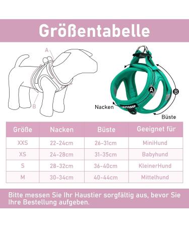 Shop Green Padded Dog Harness for Small Dogs | Comfortable Puppy Harness - International Shipping Available - Buy Online on GoSupps.com