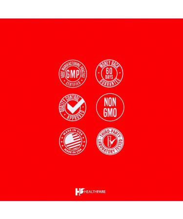 HealthFare L Glutamine 1000mg | 240 Vegan Capsules | Extra Strength Amino Acid Supplement | Supports Digestive Balance Nutrient Absorption & Muscle Recovery | Non-GMO Gluten-Free | Made in USA - Buy Online on GoSupps.com