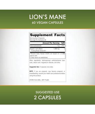 Planetary Herbals Lion's Mane for Memory Focus and Mood* 1 000 mg - 60 Vegan Capsules 1 Count (Pack of 60) - Buy Online on GoSupps.com