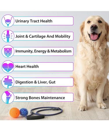 Dogs Vitamins and Supplements with Glucosamine & Cranberry 15 in 1 Multivitamins Supports Dogs Hip and Joint Immune Health Skin Coat Heart Health for Small Medium and Large Dogs - Buy Online on GoSupps.com