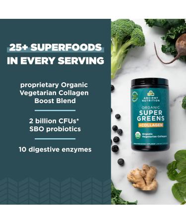 Ancient Nutrition Supergreens Powder Organic Superfood Powder with Collagen Made from Real Fruits Vegetables and Herbs for Digestive and Energy Support 25 Servings 7.5oz Collagen 25 Servings (7.5 Ounce) - Buy Online on GoSupps.com