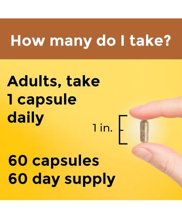 Nature Made Multi + Ashwagandha Daily Stress Relief Support Multivitamin - 60 Capsules - Buy Online on GoSupps.com