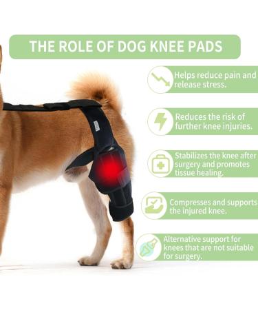 Dog Knee Brace Pet Supplies Dog ACL Knee Brace for Pet Recovery Dog Leg Braces Adjustable Dog Rear Leg Braces for Support with Cruciate Ligament Injury Dysplasia Osteoarthritis (S) - Buy Online on GoSupps.com