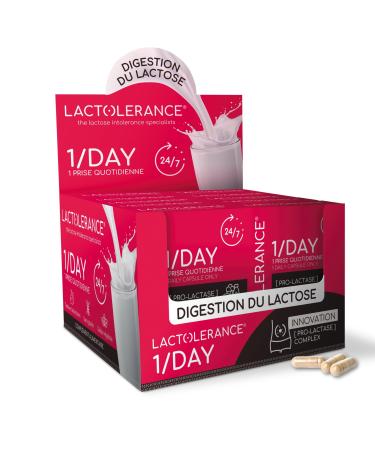 Lactol rance LACTOLERANCE 1/DAY | Lactase Precursor | 24-Hour Protection | 1 Capsule/Day | Lactic Acid Bacteria | Improves Lactose Digestion | All Levels of Intolerance (12 boxes (12 months))