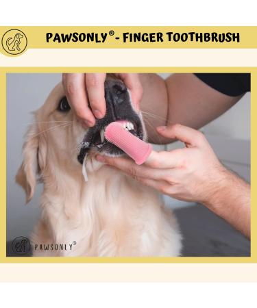 Pawsonly Finger Toothbrush for Dogs & Cats - Set of 2 with Storage Box | Silicone Dental Care | Ideal for Small Pets | Pink Dog Toothbrush - Buy Online on GoSupps.com
