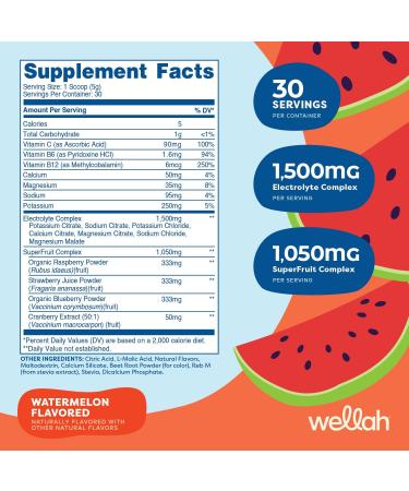 Splish Splash Hydration Electrolyte Drink Mix - Watermelon Flavor 30 Servings | Best International Shipping - Buy Online on GoSupps.com