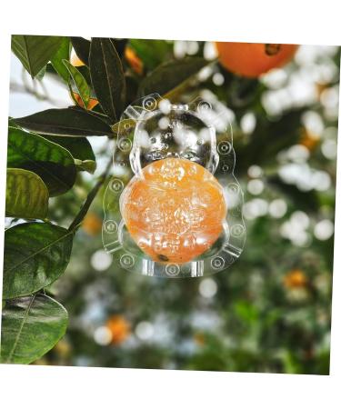 ORFOFE 2pcs Shaped Growth Fruit Buddha Baby Shaper Small Watermelon Accessories - Buy Online on GoSupps.com