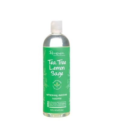 RENPURE Plant-Based Beauty Tea Tree & Lemon Sage Refreshing Moisture Shampoo  Basic  Eucalyptus  16 Fl Oz