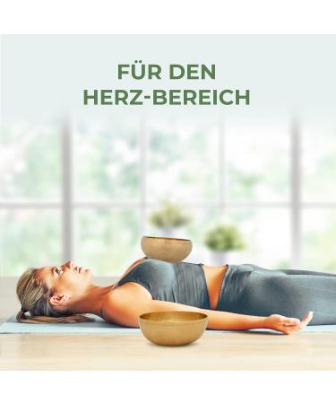 Expert Tibetan Sound Bowl - Small Heart Shell 17.5 cm | Premium Quality Massage & Sound Therapy | Bright Tone for Upper Body Relaxation - Buy Online on GoSupps.com