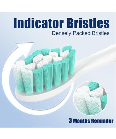 Philips Sonicare Toothbrush Heads 10 Pack - Replacement Brush Heads for DiamondClean DailyClean EasyClean HealthyWhite ExpertClean - Compatible with Models 1100 4100 5100 6100 | International Shipping - Buy Online on GoSupps.com