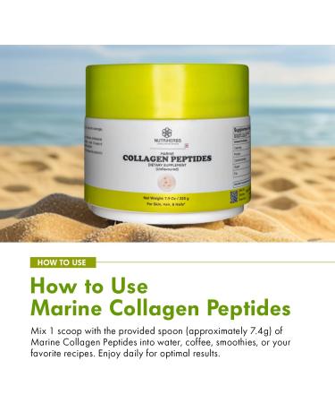 Nutriherbs Hydrolyzed Marine Collagen Peptides Powder | Type 1 Protein Supplement | Unflavored Dietary Supplement | Supports Skin Elasticity Joint Function Hair Growth & Healthy Nails | 30 Servings - Buy Online on GoSupps.com