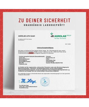 NATURTREU Vitamin B12 Drops 50ml - High Dose 250 g Vegan & Alcohol-Free Methylcobalamin & Adenosyl (4:1) - International Shipping Available - Buy Online on GoSupps.com