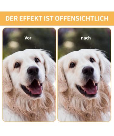 4-Piece Tear Stain Removal Comb Set for Dogs - Double-Sided Eye Combs Fur Scissors & Concealer Brushes for Crusts & Mucus - Buy Online on GoSupps.com